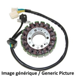 Stator ELECTROSPORT Honda CBF 1000 F SC64 2010-2016