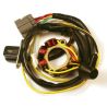 Stator avec bobine d'allumage KAWASAKI KX250F 2005-2008 SUZUKI RMZ 250 2005-2006 0