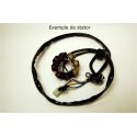 Stator ELECTROSPORT SUZUKI RM125 1992-1997 RM250 1994-1995