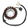 Stator ELECTROSPORT Suzuki LT-R 450 Quadracer 0