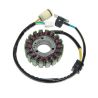 Stator ELECTROSPORT Yamaha YFM660 RAPTOR 0