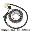 Stator ELECTROSPORT Yamaha XVS 1300 CUSTOM XVS 1300 MIDNIGHT STAR