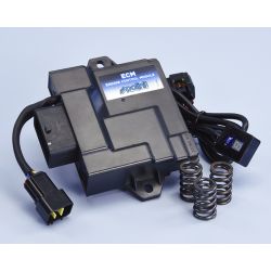 Boitier ECU POLINI PIAGGIO ZIP LIBERTY VESPA PRIMAVERA SPRINT