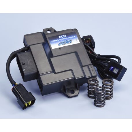 Boitier ECU POLINI PIAGGIO ZIP LIBERTY VESPA PRIMAVERA SPRINT