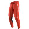 Pantalon TROY LEE DESIGNS GP Pro Mono 10