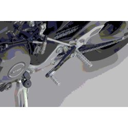 sélecteur de vitesse SW MOTECH DUCATI PANIGALE V2 STREETFIGTER V2 890