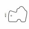 Kits de réparation carburateur KAWASAKI KVF650 BRUTE FORCE KVF650 PRAIRIE KFX700 KVF700 PRAIRIE KRF750 TERYX KVF750 BRUTE FORCE 0