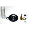 Réparation pompe d'enrichissement YAMAHA TT600R XT600 XT600E XTZ600 TENERE XTZ660 TENERE 0