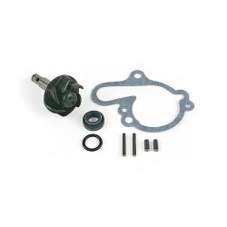 Kit réparation de pompe à eau TOP PERFORMANCES APRILIA BENELLI ITALJET MALAGUTI MBK YAMAHA