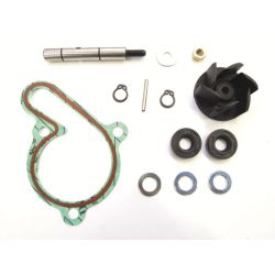 Kit réparation de pompe à eau TOP PERFORMANCES AM6