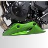 Sabot moteur ERMAX KAWASAKI Z650S 2025-2026 0