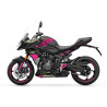 kit deco BURNOUT Tonic Triumph Tiger 800 Sport 2025+ 4