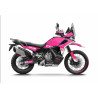 Kit déco MOUNTAIN CF Moto 1000 MT-X IBEX (2026+) 6