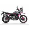 Kit déco MOUNTAIN CF Moto 1000 MT-X IBEX (2026+) 7