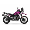 Kit Déco TRACE CF MOTO 1000 MT-X IBEX 2026 3