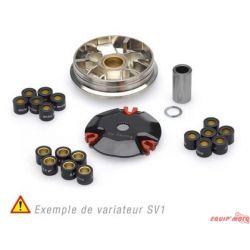 Variateur MALOSSI PEUGEOT SPEEDFIGHT 3 TWEET SYM FIDDLE JET 50 MOI SYMPHONY SYMPLY