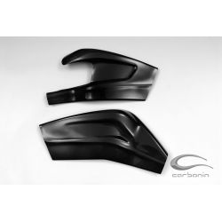 Protections bras oscillant carbone BMW S1000RR 2010-2016