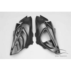 Flanc carenage carbone avec partie arrière BMW S1000RR 2010-2011