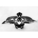 Carénage complet piste carbone DUCATI PANIGALE