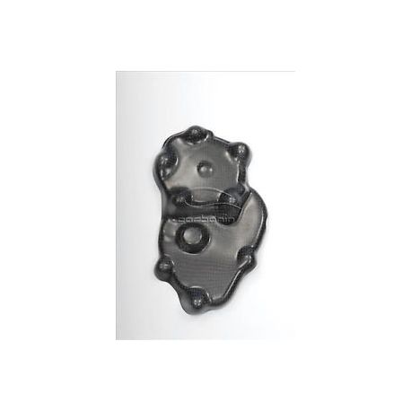 Protection carter démarreur carbone KAWASAKI ZX10R 2006-2010