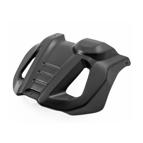 Protection moteur carbone DUCATI HYPERMOTARD HYPERSTRADA