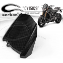 Garde boue arrière carbone YAMAHA MT-09 2014-2016