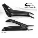 Protection de bras oscillant carbone YAMAHA MT-09 2014-2016