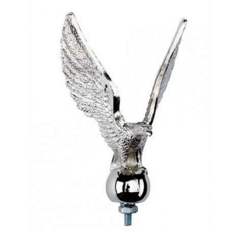 Aigle garde boue chromé
