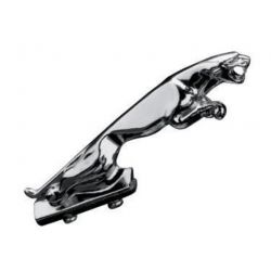 Panthere pour garde boue moto chromé