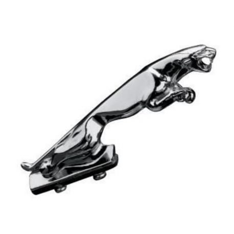 Panthere pour garde boue moto chromé