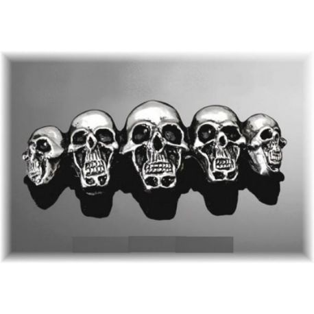 Insigne avec 5 crânes chromé