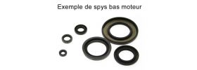 Pochette de joints spi bas moteur